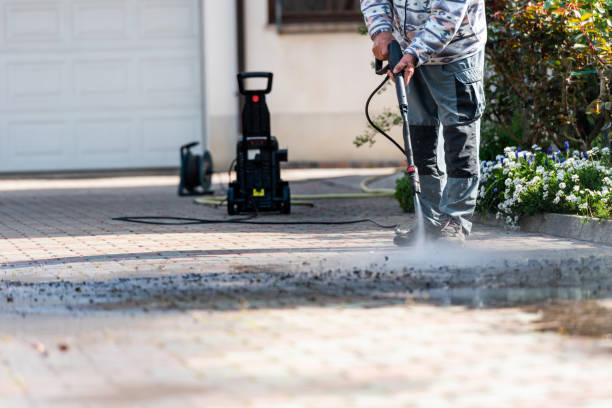 Best Roof Pressure Washing  in Mobile, AL